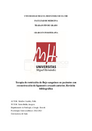 TFG Pablo Miralles Candela.pdf.jpg