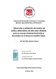 TD Gomis Valero, M. Pilar.pdf.jpg