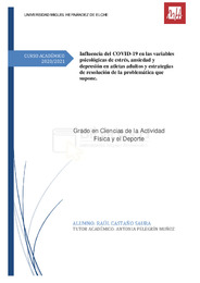 TFG-Castaño Saura, Raúl.pdf.jpg