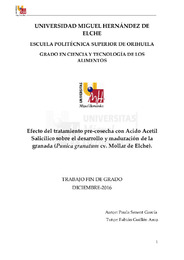 TFG Senent García, Paula.pdf.jpg