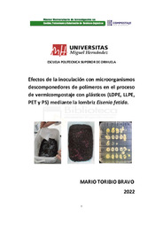 TFM Toribio Bravo, Mario.pdf.jpg