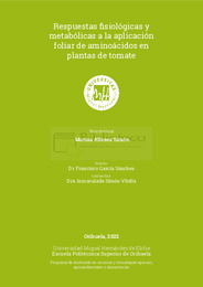 TD Alfosea Simón, Marina.pdf.jpg