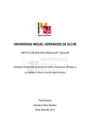 TD Pérez Sánchez, Almudena.pdf.jpg