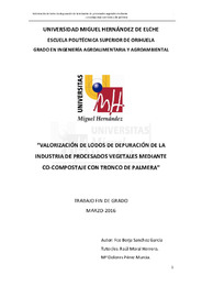 TFG Sánchez García, Fco. Borja.pdf.jpg