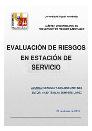 SEGADO MARTINEZ_GENOVEVA, TFM.pdf.jpg