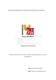 Campos Giménez, David TFM.pdf.jpg
