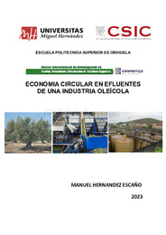 TFM Hernández Escaño, Manuel.pdf.jpg