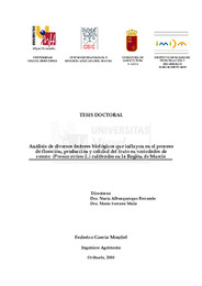 Tesis García Montiel.pdf.jpg