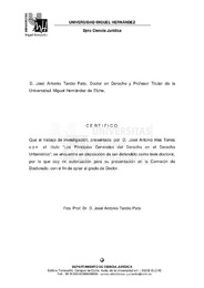 TD Irles Torres, José Antonio.pdf.jpg