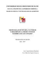 TFG Belmonte Manchado, Ángela.pdf.jpg