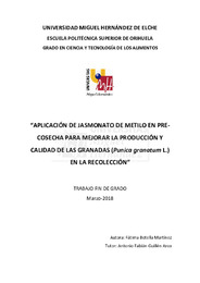 TFG Botella Martínez, Fátima.pdf.jpg