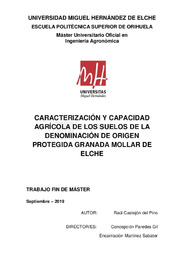 TFM Castejón del Pino, Raúl.pdf.jpg