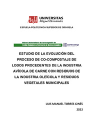 TFM Torres Ginés, Luis Manuel.pdf.jpg