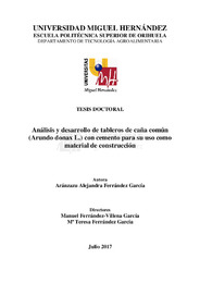 TD Ferrández García, Aránzazu Alejandra.pdf.jpg