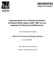 SALMERÓN_MORENO_GUILLERMO_TFM.pdf.jpg