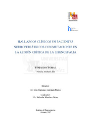 TD Andreo Lillo, Patricia.pdf.jpg