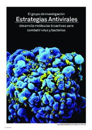 Estrategias Antivirales_Belén Pardos.pdf.jpg