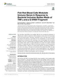 12-Puente-Marin et al_2019_Fish Red Blood Cells Modulate Immune Genes in Response to Bacterial Inclusion Bodies Made.pdf.jpg