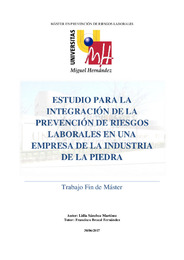 Sánchez Martínez_ Lidia TFM (48650055H).pdf.jpg