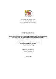 TD Sánchez Ortiga, Ruth.pdf.jpg