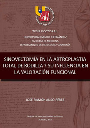 TD Ausó Pérez, José Ramón.pdf.jpg