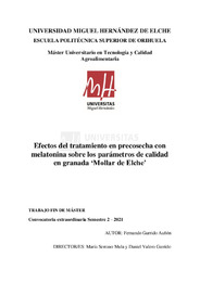 TFM Garrido Auñón, Fernando.pdf.jpg