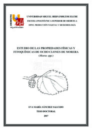 TD Sánchez Salcedo, Eva María.pdf.jpg