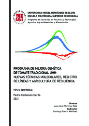 TD Carbonell Cerdá, Pedro.pdf.jpg