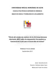TFG Bas Sarrió,  Sonia.pdf.jpg