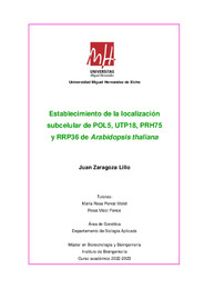 Zaragoza Lillo Juan - Juan Zaragoza Lillo.pdf.jpg