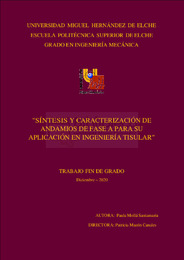 TFG-Mollá Santamaría, Paula.pdf.jpg