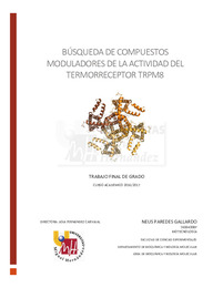 TFG Paredes_Gallardo_Neus.pdf.jpg