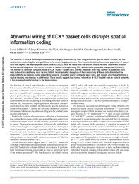 Abnormal wiring of CCK+ basket cells disrupts.pdf.jpg