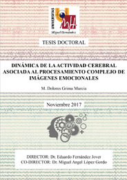 Tesis Grima Murcia.pdf.jpg