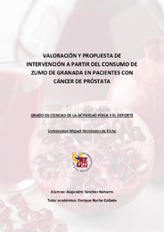 TFG-Sánchez Naharro, Alejandro.pdf.jpg