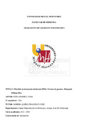 TFG JOAN PIERA BORDES PDF.pdf.jpg