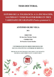 TESIS Antonio Olmo Firmada (2).pdf.jpg