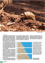 El surfing en la tortuga mora_Belén Pardos.pdf.jpg