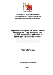 TD Cruz Pérez, Zulma Natali.pdf.jpg