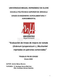TFG Mateu Moreno, Adrián.pdf.jpg