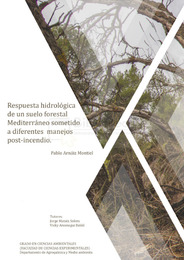 TFG Arnaiz Montiel, Pablo.pdf.jpg