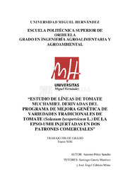 TFG Pérez Sancho, Antonio.pdf.jpg