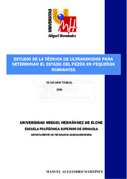 TD Alejandro Martínez, Manuel.pdf.jpg
