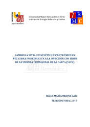 TD Medina Gali, Regla María.pdf.jpg