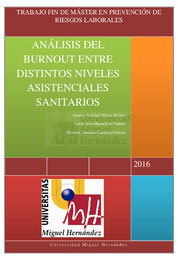 Blasco Muñoz, Soledad TFM.pdf.jpg