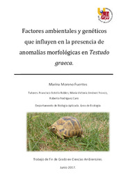TFG Moreno Fuentes, Marina.pdf.jpg