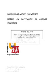 Garcia Rodriguez, Paloma TFM.pdf.jpg