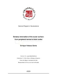 TD. Velasco Serna, Enrique.pdf.jpg