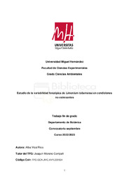 TFG_Alba Vidal_vfinal.pdf.jpg