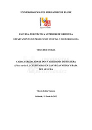 TD Lidón Noguera, Vicente.pdf.jpg